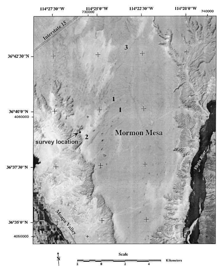 Mormon Mesa en vue de carte rapprochée