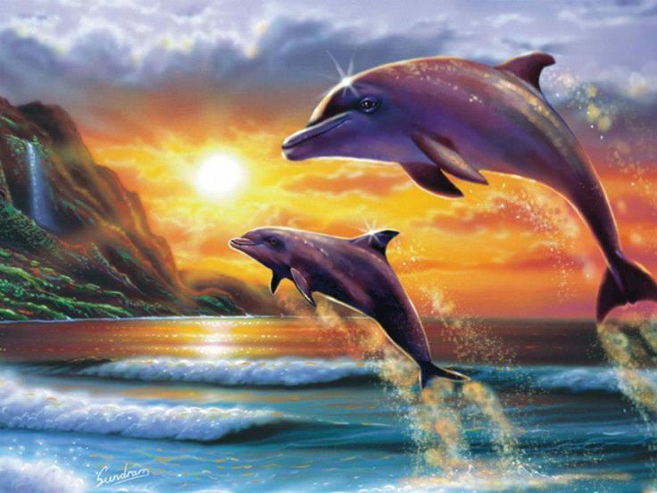 Illustration de dauphins, pour accompagner la description de la vision de dauphins sur Thiaoouba