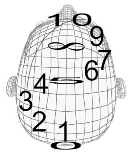 Aperçu du schéma de visualisation de l'exercice des chiffres pour le travail des zones inactives du cerveau