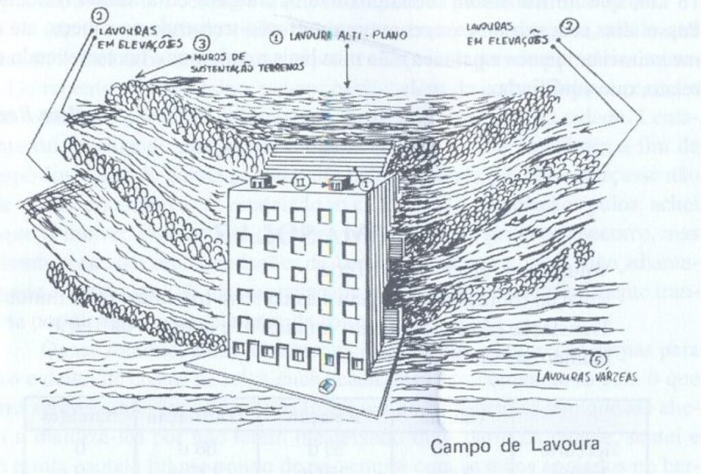 Un champ de culture sur plusieurs étages sur Acart, avec le bâtiment associé. Provenant du livre de Artur