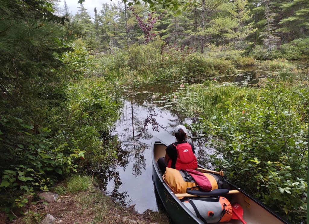 Descente en canoë sur la rivière Mattawa