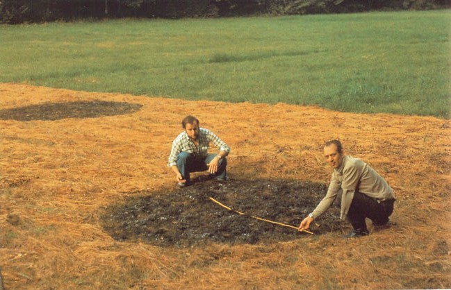 Traces au sol laissées par le vaisseau de Menara qui brûlait à distance la végétation en restant en lévitation au-dessus trop longtemps
