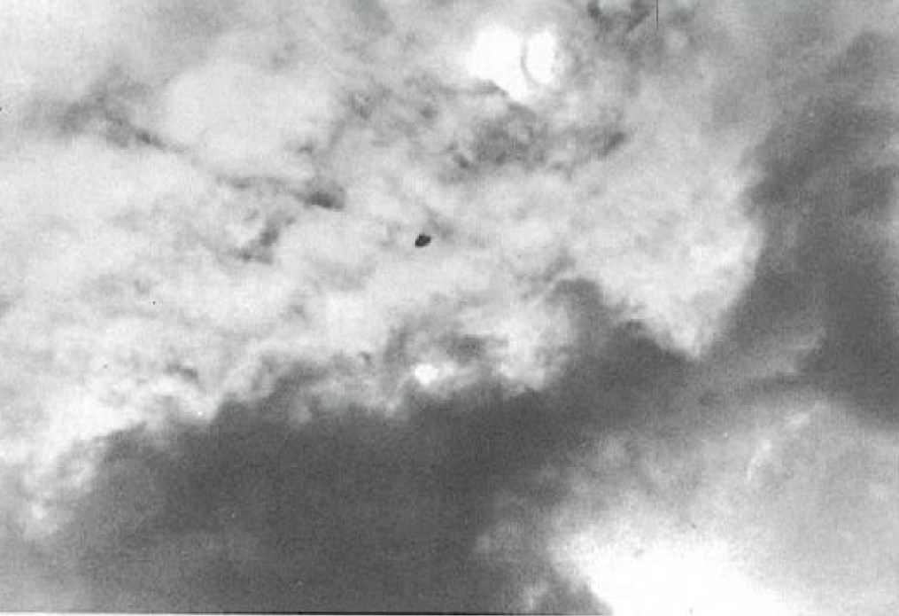 Bogota, Colombie, 20 mai 1971, 12h30. Par Jaime Ponce Melo. L'objet est petit mais a visiblement un dôme haut au centre sur le dessus.  Le dôme haut central peut suggérer un vaisseau du même type qu'Inxtria, zone de Beta Andromède.