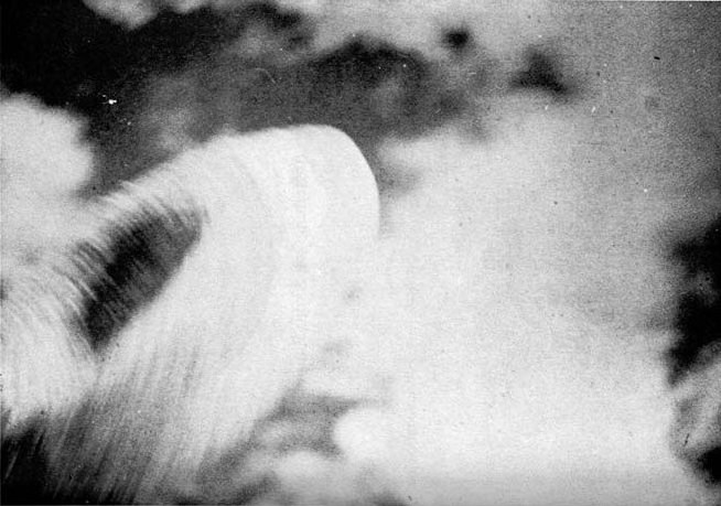 Photographie d’Elizabeth Klarer où elle indique qu’on voit la condensation atmosphérique autour du vaisseau de Méton qui se cache dans les nuages en quelque sorte, pendant qu’il part dans des fréquences supérieures de la réalité, on voit l’effet d’une sorte de champ de force entourant le vaisseau sur la photo qui produit un aspect plissé.