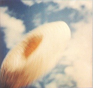 Version colorisée de l’image du vaisseau de Méton dans le nuage, pour mieux ressortir ce qui est à voir. Cette photo colorisée servira de page de couverture à une édition de son livre.