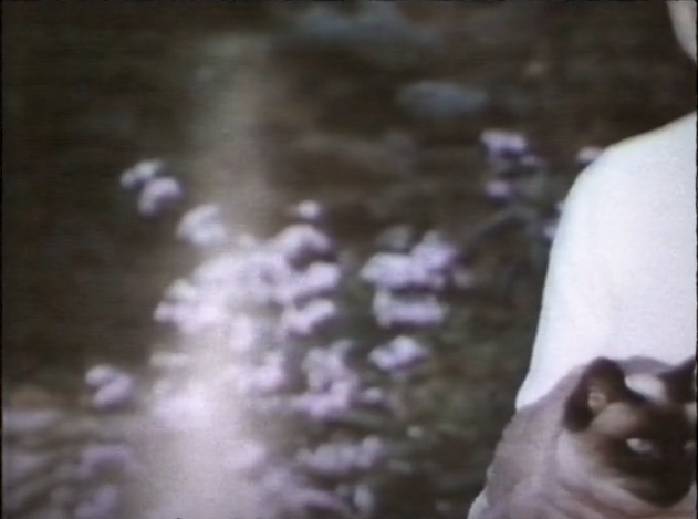 Zoom sur l’hologramme lumineux.