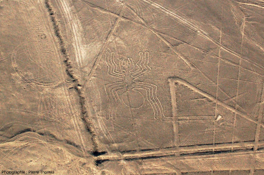 Figure tracée au sol de l'araignée à Nazca, plan moyen. Identique à celle vue sur Zeti.