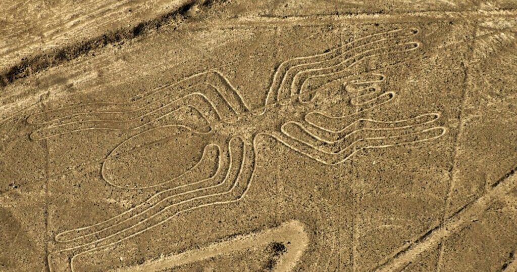 Figure tracée au sol de l'araignée à Nazca, plan rapproché.