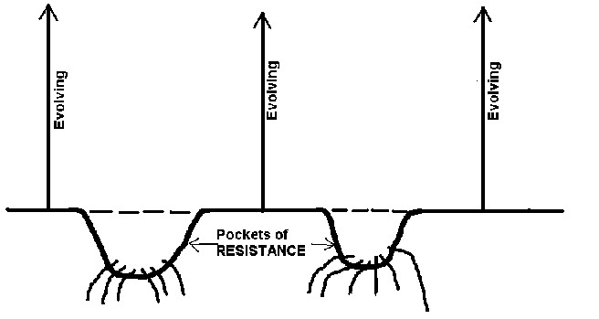 Dessin tracé par Alex Collier pour illustrer son propos sur les poches de résistance aux hautes fréquences qui se sont créés dans l'univers.