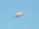 Seconde variante le 22 janvier 1978 près de la rivière Ashley par William Herrmann. Zoom image 1.