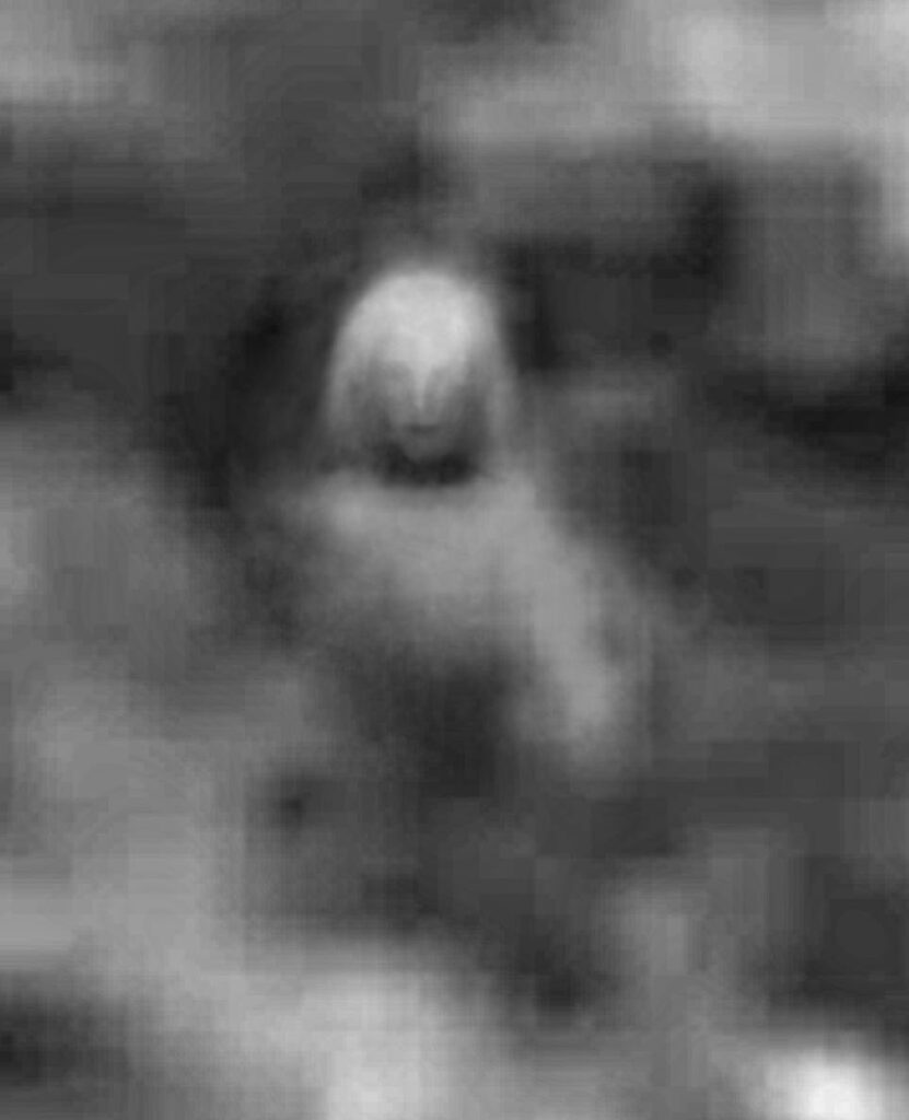 Zoom sur Orthon et retraitement de l’image, par René Erik Olsen, publié par Michel Zirger.