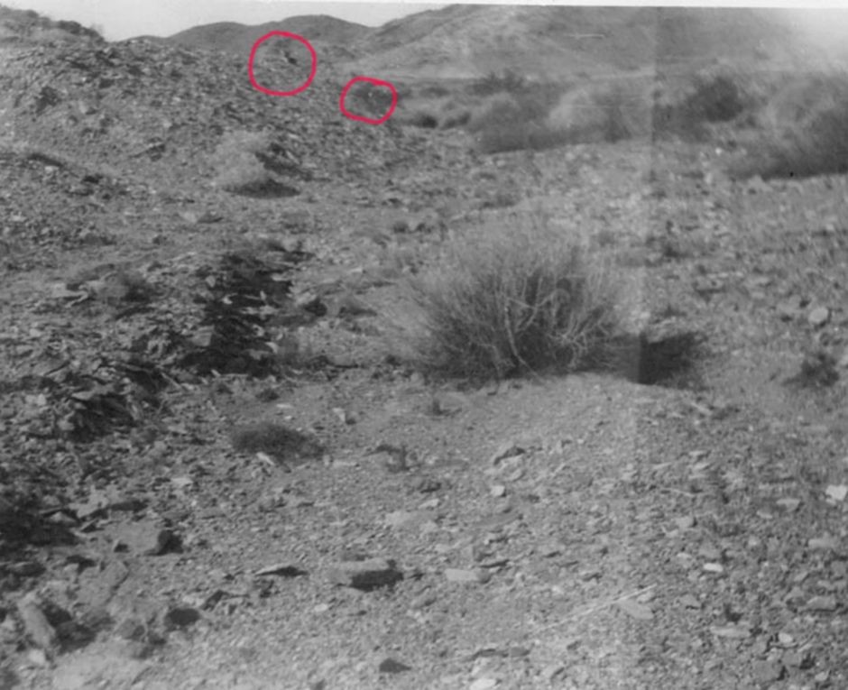 Photo n°2 prise Kodak Brownie chargé d’un rouleau de pellicule, Adamski ayant épuisé les sept plans films avec son télescope. J’ai cerclé de rouge la zone où est la soucoupe partant disparaître derrière la colline au fond.
