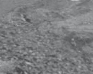 Zoom sur les zones cerclées avec amélioration de l’image, par René Erik Olsen, publié par Michel Zirger. La même image, montrant ce qui pourrait être une partie de l’appareil et une « personne » au pied de la colline.
