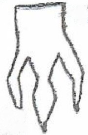 Détail de pieds à trois orteils verts et ongle noir rond au bout d’Andrak, provenant de dessins de Phyl légèrement nettoyés, d'après livre.