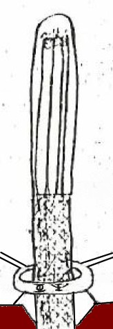 Dessin de Phyl d'enesemble de la structure du tube, extrait de son dessin du niveau complet d'étage du vaisseau disponible dans l'Extrait 1, qui permet de voir que l'anneau est fixé au sol, et que le sol est évasé à l'endroit où le tube de verre continue à descendre à travers au niveau inférieur (du verre recouvre la partie évasée pour la protéger).