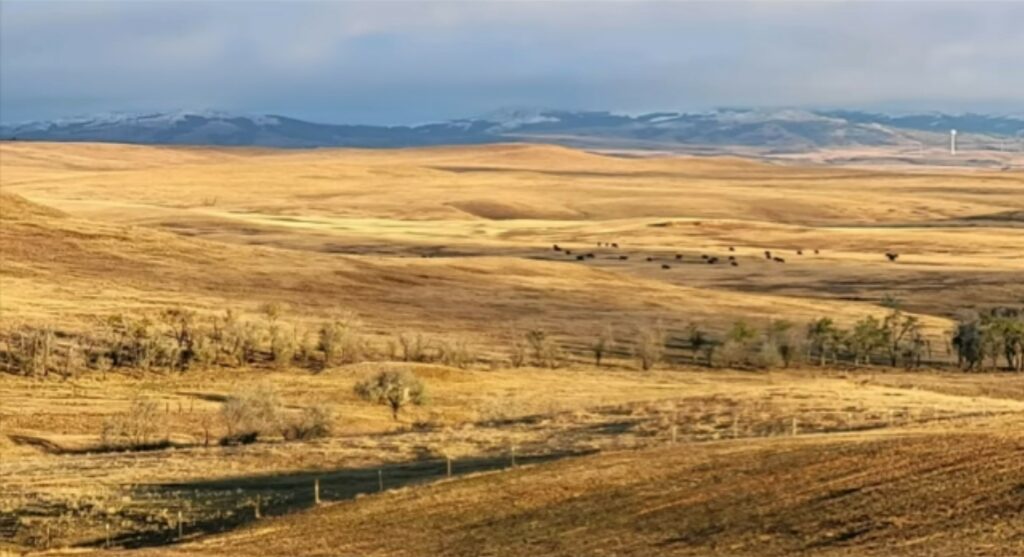 Paysage autour de Killdeer, plaines et collines.