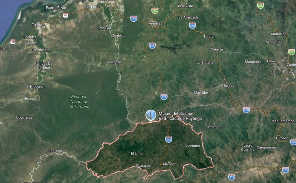 Secteur de la forêt pétrifiée de Pyango à 40 km au sud de Arenillas où vivaient José et Graciela. 