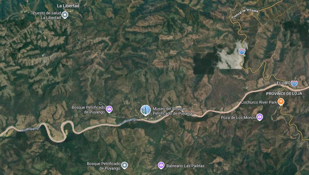 Zoom sur la zone du 1er contact de 1995 : bord de la rivière Puyando près de « Bosque Petrificado »