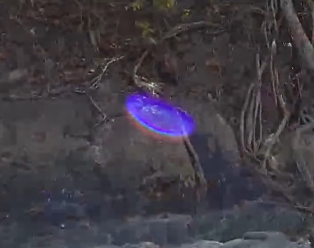 Zoom sur l'objet volant bleu lumineux de Ectom en bas à gauche de la photo de l'arbre précédente.