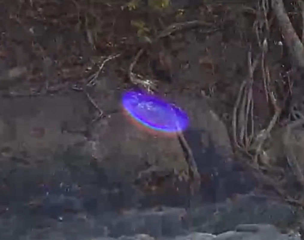 Zoom sur l'objet volant bleu lumineux de Ectom en bas à gauche de la photo de l'arbre précédente.
