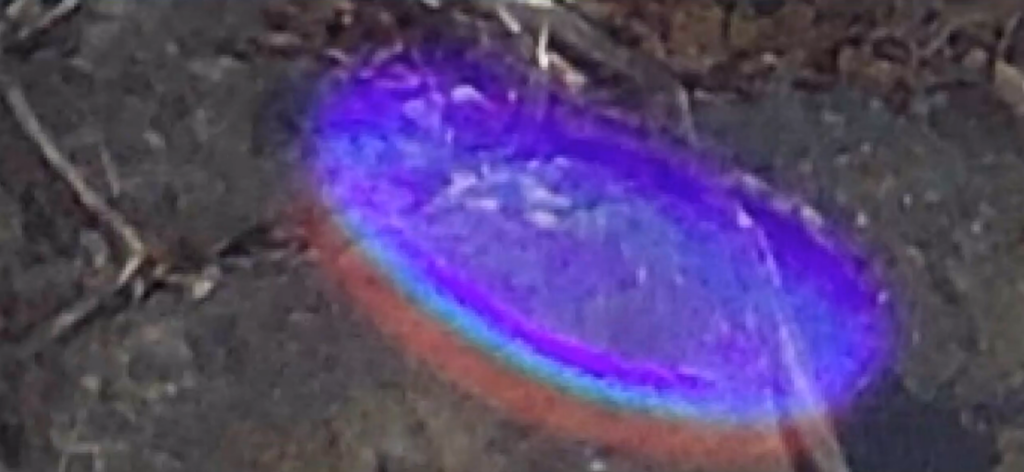 La photo zoomée a été analysée par André Campos chercheur historien et analyste graphique, qui a fait un traitement de mise en valeur qu'on voit ici : il y a vu un gradient de température, allant du rouge à l'extérieur vers le violet à l'intérieur en passant par diverses couleurs, sur le bord inférieur gauche. La ligne de démarcation serait le bord d'un disque volant passé en état semi-damétarialisé, un des disques de Ectom observés précédemment par José Yaguana, mais en état énergétique.