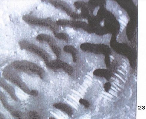 Photo de Mars - Interprétation : créatures sombres près des tunnels
