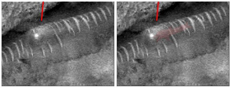 Photo de Mars - Interprétation : entité qui semble se déplacer sur le sol martien grâce à ce réseau interconnecté de conduits (Note du traducteur : selon l’idée de l’interprétation, une personne avec un éclairage lumineux semble marcher à travers un tunnel-boyau transparent qui isolerait et protègerait de l’atmosphère extérieure). Mais cela pourrait aussi être une simple réflexion du Soleil sur la surface arrondie extérieure polie rocheuse striée de ce qui est pris à tord pour des tunnels.
