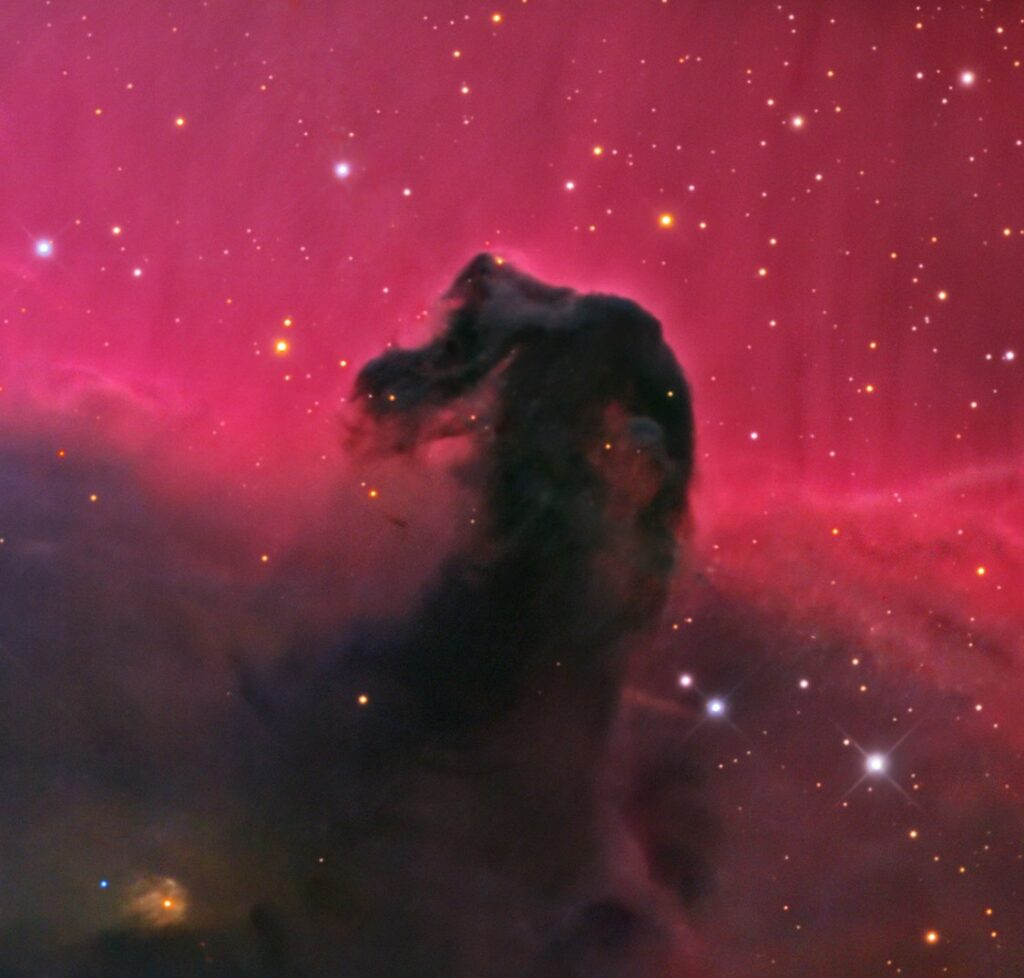 Sur cette image à champ plus large provenant de la NASA on voit qu’il y a des candidats possibles pour des étoiles assez brillantes situées côté ouest de la tête de cheval et côté nord de la tête de cheval.